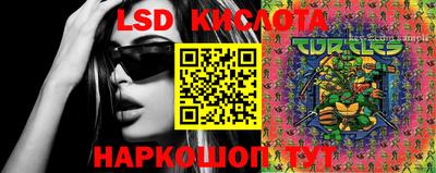 PSILOCYBIN Заволжье