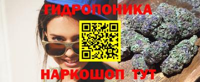 дживик Заводоуковск