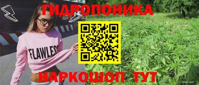 PSILOCYBIN Заволжье