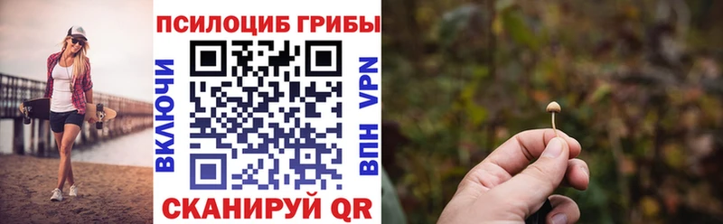 мега   Янаул  Галлюциногенные грибы прущие грибы 