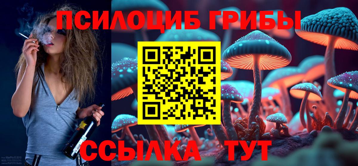 Янаул  Псилоцибиновые грибы Psilocybe  Вход с VPN 